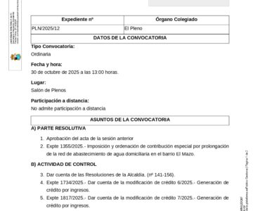 Pleno ordinario municipal